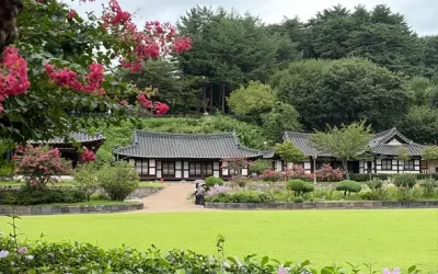 Pourquoi j&rsquo;ai été déçue de mon week-end à Gangneung